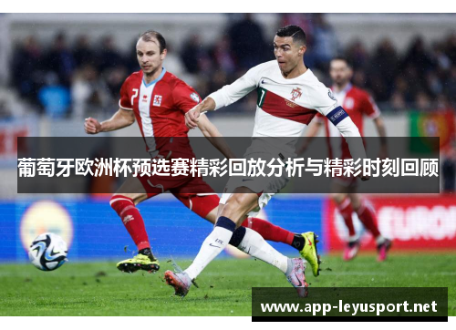 葡萄牙欧洲杯预选赛精彩回放分析与精彩时刻回顾